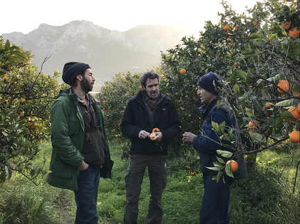 Picking our fruits just before returning to Brussels to meet the truck!