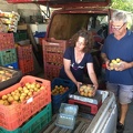 Patricia and Vangelie packing Apricots