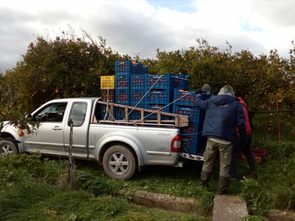 Piliing up the crates on the pickup, pluis the ladder, plus the cart :)