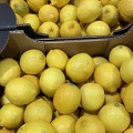 IMG 7267
