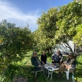IMG 7786