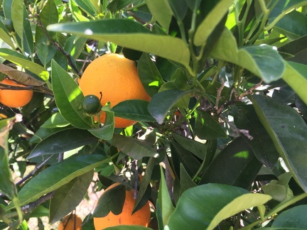 MayIMG 0053