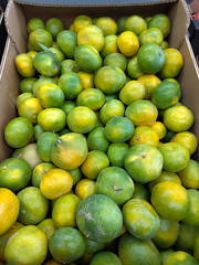 IMG 20251017 160655 x