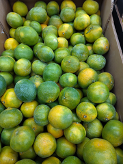 IMG 20251017 160700 x