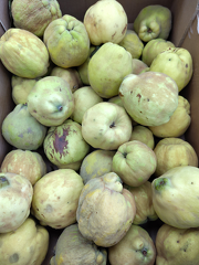 IMG 20251017 160709 x