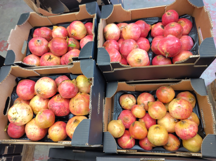 IMG 20251017 160716 x