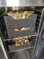 IMG 20251017 160737 x