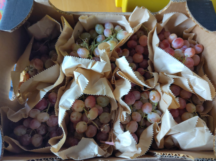 IMG 20251017 160746 x