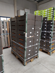 IMG 20251119 125718 x