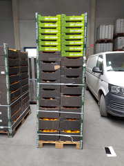 IMG 20251119 125731 x