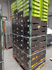 IMG 20251119 125738 x