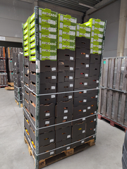 IMG 20251119 125746 x