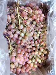 IMG 20251119 135426 x