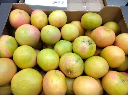 IMG 20251119 135441 x