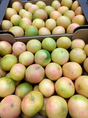 IMG 20251119 135453 x