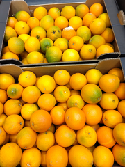 IMG 20251119 135501 x