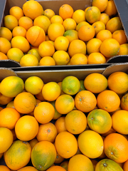 IMG 20251119 135508 x