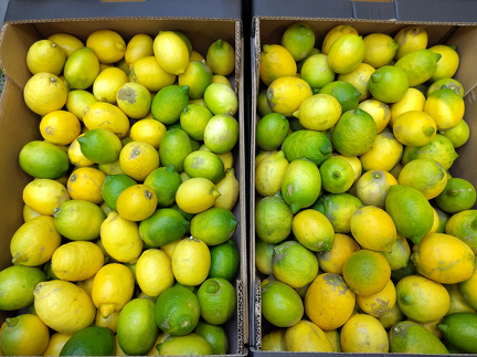 IMG 20251119 135518 x