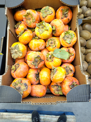 IMG 20251119 135527 x