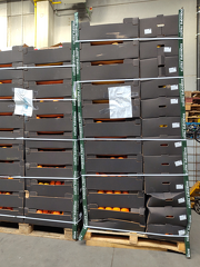 IMG 20251209 130139 x