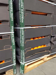 IMG 20251209 130151 x