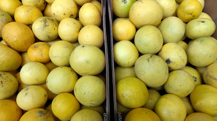 signal-2025-12-09-132043 002 x