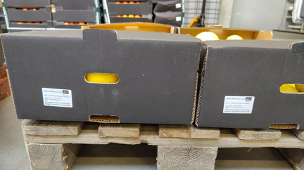 signal-2025-12-09-132055 002 x