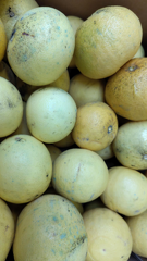 signal-2025-12-09-132405 002 x