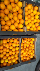 signal-2025-12-09-134546 002 x