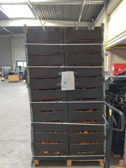 signal-2025-12-09-135222 002 x