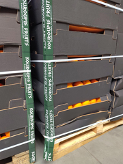 signal-2025-12-09-135228 002 x